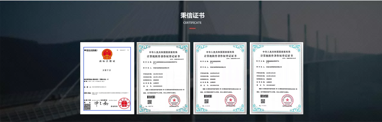 网站开发